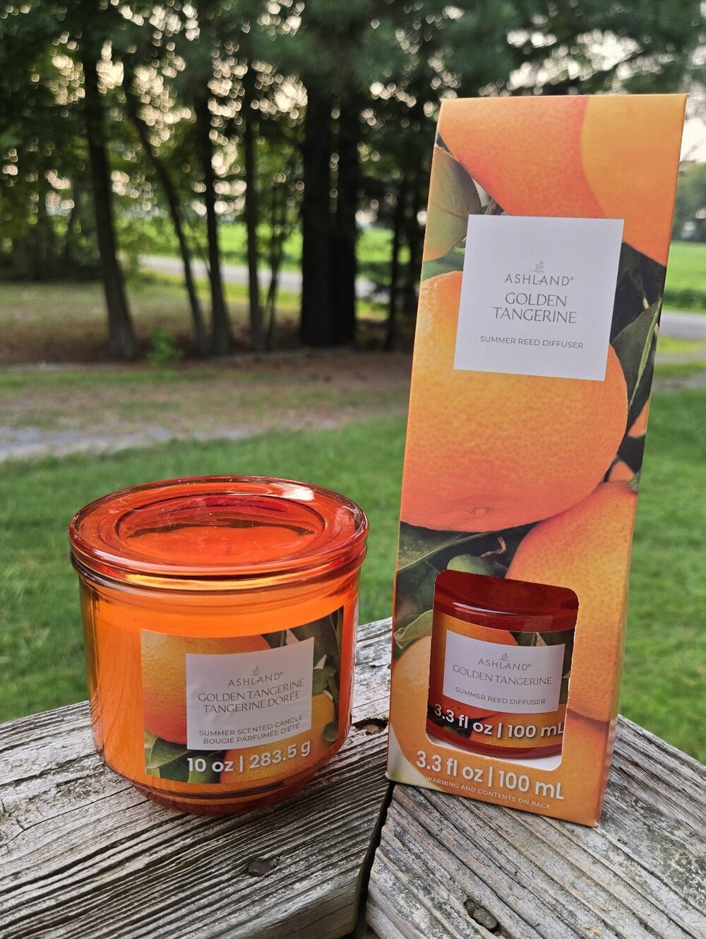 Ashland Golden Tangerine Scented Candle & Diffuser - Orange